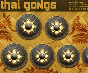Thai Gongs — Chromatic gongs